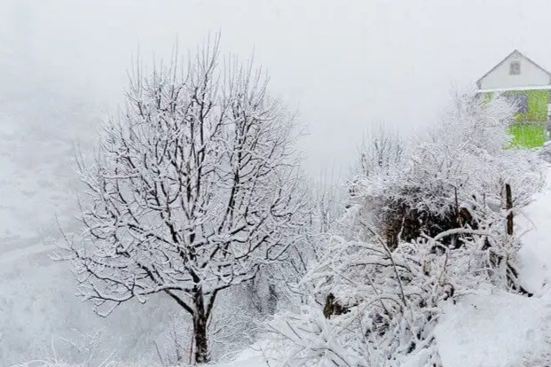 Kasol